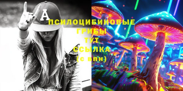 ГАЛЛЮЦИНОГЕННЫЕ ГРИБЫ Алексеевка